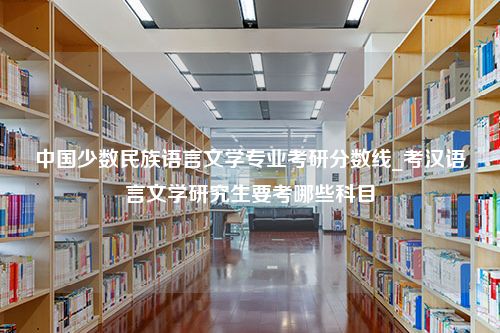 中国少数民族语言文学专业考研分数线_考汉语言文学研究生要考哪些科目
